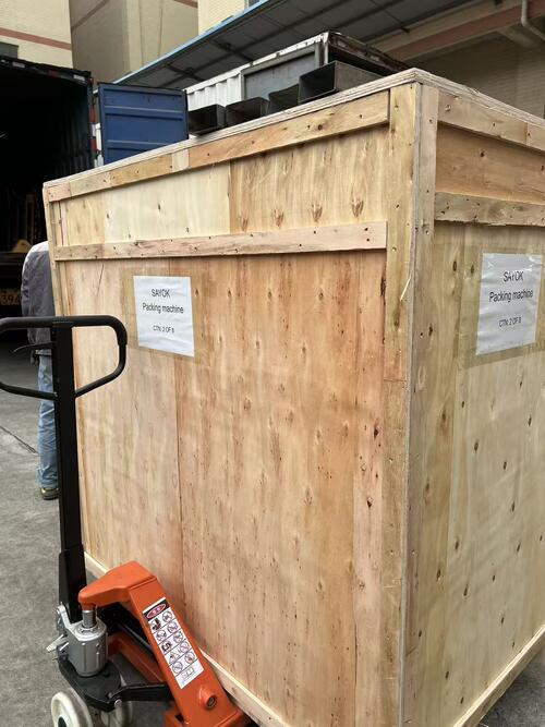 najnowsza sprawa firmy na temat Maszyna do pakowania poduszków na zamówienie do pakowania rolek gazowych i rękawic badawczych